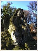 2011-11-04 11.49.19